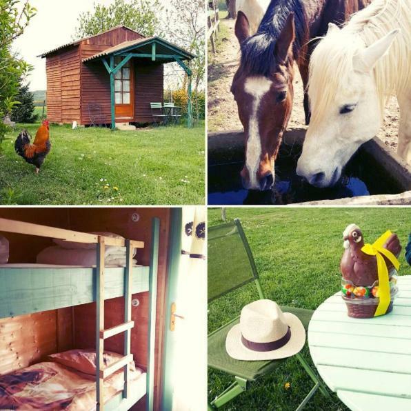 Ferme Equestre Les Chevaliers Hotel Penol Exterior foto